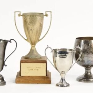 | Decorative Trophies – Medium |Decorative Trophies – Medium