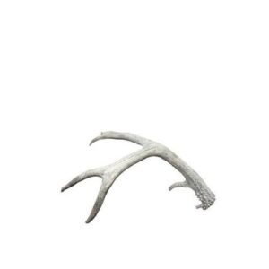 |Antler Shed – Medium